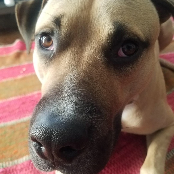 Meet your Posher, Chrissy - Picture 1 of 1